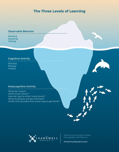metacognition iceberg